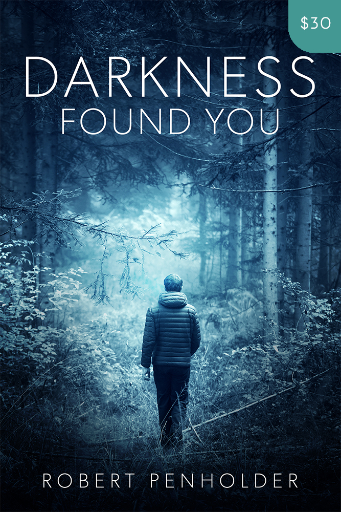 Premade Thriller Book Cover Design: Darkness Found You
